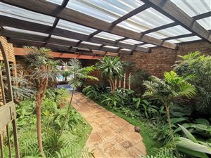 2.7 ha Farm in Ruimsig