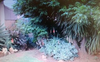 3 Bedroom House in Sophiatown