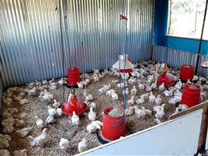 9.1 ha Farm in Grootvlei AH