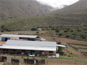 3280 m² Farm in Oudtshoorn