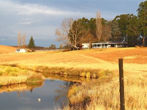 78 ha Farm in Underberg