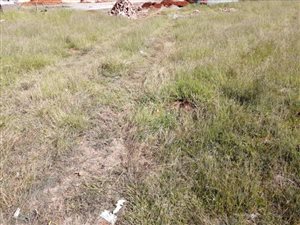 497 m² Land available in Chantelle
