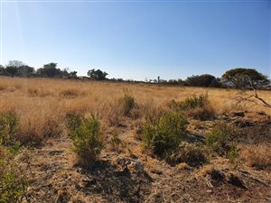 8.5 ha Farm in Buffelspoort
