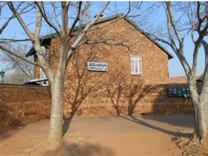 3 Bed Apartment in Heidelberg Central
