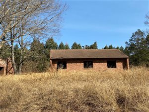 25 ha Farm in Howick