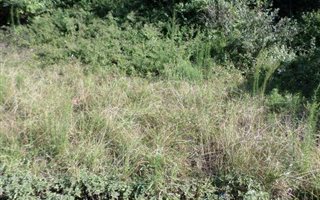 1188 m² Land available in Desainagar