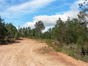 1403 m² Land available in Caledon