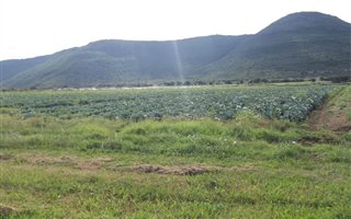 Farm in Estcourt
