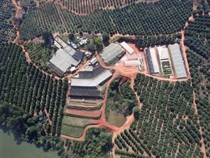 16 ha Farm in Hazyview