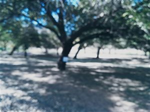 1010 m² Land available in Heidelberg Kloof Estate