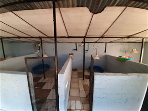 3 ha Farm in Wonderboom AH