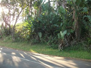 1349 m² Land available in Ramsgate