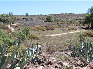 4289 m² Land available in Uniondale