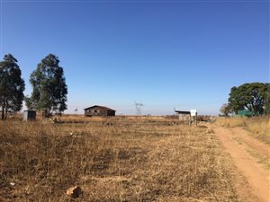 23 ha Farm in Middelburg Central