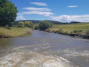 80 ha Farm in Underberg
