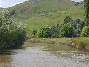 80 ha Farm in Underberg
