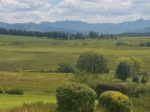 80 ha Farm in Underberg