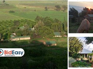 30 m² Farm in Grootvlei