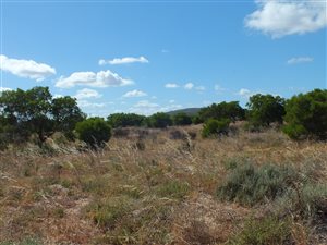 2.1 ha Land available in Long Acres