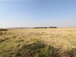 95 ha Farm in Witbank