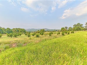 3852 m² Land available in Laezonia