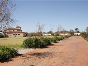 8 Bed House in Springs Central