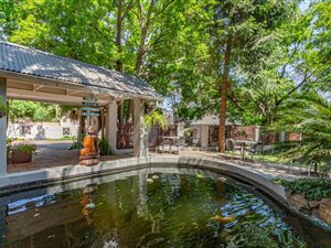 5 Bed House in Saxonwold