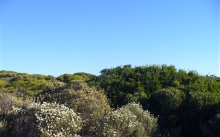 596 m² Land available in Klipfonteyn
