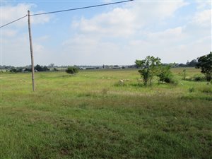 2.6 ha Farm in Rosashof
