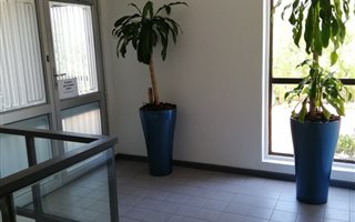 122 m² Office Space in Claremont