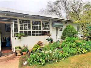 103 ha Farm in Greytown