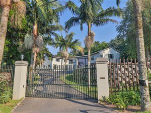 7 Bed House in Cowies Hill