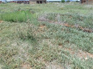 730 m² Land available in Baillie Park