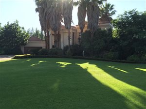 3 Bed House in Northdene