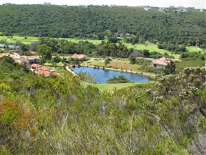 1770 m² Land available in Plettenberg Bay Rural