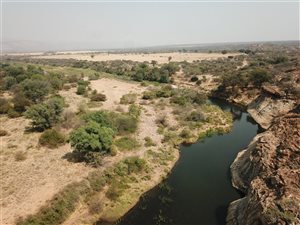 780 ha Farm in Makhado (Louis Trichardt)