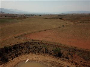 410 ha Farm in Belfast