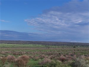 855 ha Farm in Vryburg