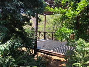156 ha Farm in Mooinooi