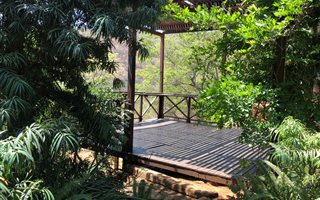 156 ha Farm in Mooinooi