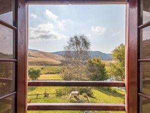 22 ha Farm in Dargle