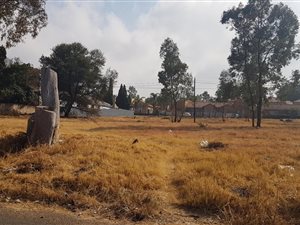 2020 m² Land available in Erasmia