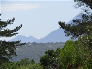 2.3 ha Land available in George Central