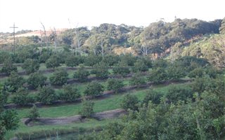 Farm in Southbroom