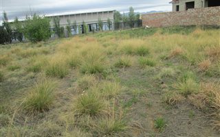 840 m² Land available in Bohlokong