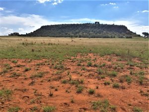 8 ha Land available in Bainsvlei