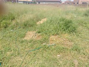540 m² Land available in Mineralia