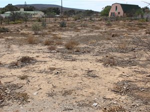 1121 m² Land available in Willowmore