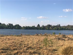 25.5 ha Land available in Vanderbijlpark Central
