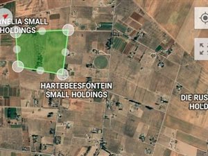 37.6 ha Farm in Bloemfontein